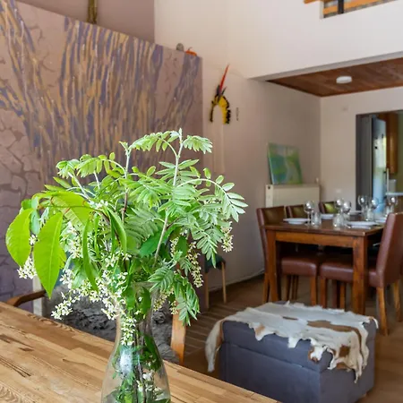 Family Private House In Dubulti, Jurmala, 400m To The Holiday home *